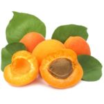 Albicocche - Incucinaconte - Elenco ingredienti ricette cucina