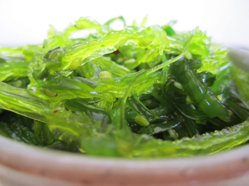 Alga wakame - Elenco ingredienti ricette cucina con alga wakame