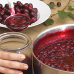 Amarene sciroppate - Elenco ingredienti ricette cucina con amarene sciroppate