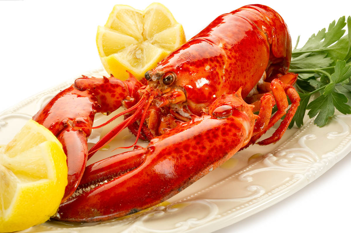 Aragosta - Elenco ingredienti. Ricette cucina con aragosta