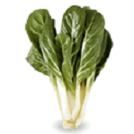Bietole ricette - Elenco ingredienti. Ricette cucina con bietole