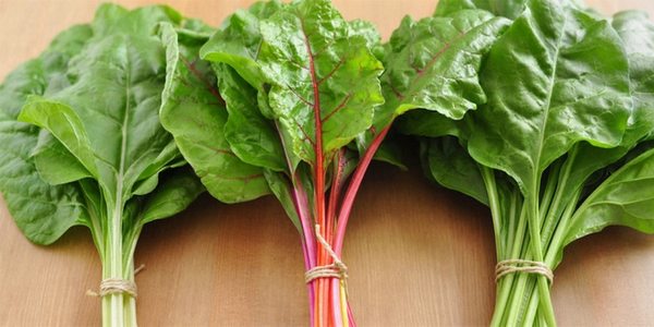 Bietole ricette - Elenco ingredienti. Ricette cucina con bietole