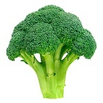 Broccoli ricette - Elenco ingredienti. Ricette cucina con broccoli